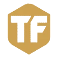 TF1 television